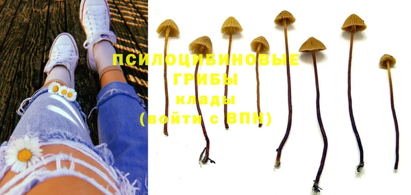 соль курить ск Вязники