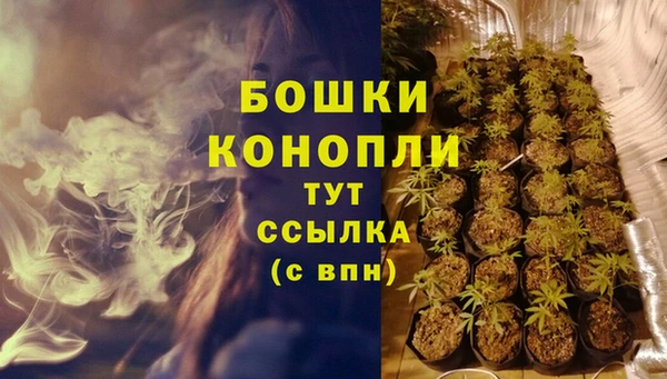 СК Вяземский