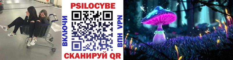 ссылка на мегу маркетплейс  площадка состав  Галлюциногенные грибы Cubensis  Донской 